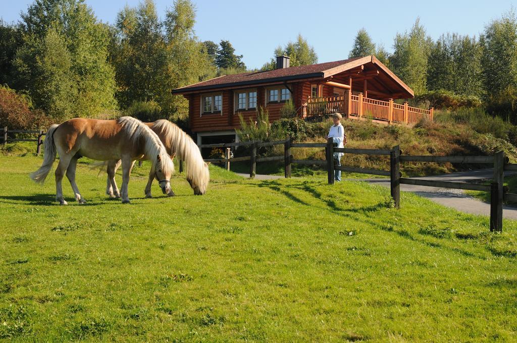 Hotelanlage Country Lodge Arnsberg Esterno foto