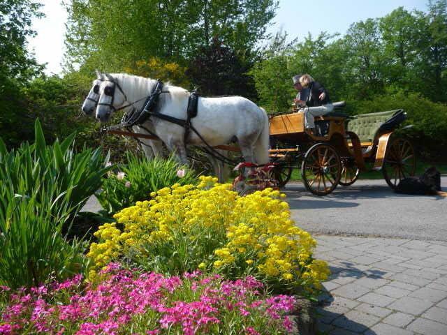 Hotelanlage Country Lodge Arnsberg Esterno foto